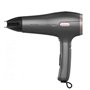 Sèche-cheveux Cecotec Noir