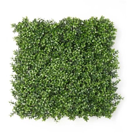Jardin vertical Vert Plastique Volets 50 x 50 cm