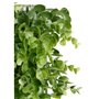 Jardin vertical Vert Plastique Volets 50 x 50 cm