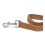 Laisse pour Chien Gloria Oasis 2.1 x 100 cm Marron