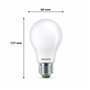 Philips Ampoule dépolie à filament 100 W A60 E27