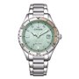Montre Homme Citizen FE6170-88L Vert Argenté