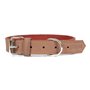 Collier pour Chien Gloria Oasis Marron (60 x 3 cm)