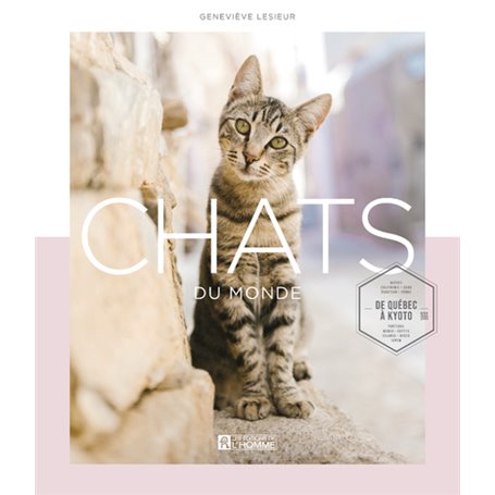 Les chats du monde