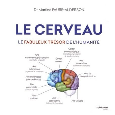 Le cerveau - Le fabuleux trésor de l'humanité