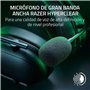 Casques avec Microphone Razer RZ04-04960100-R3M1 Noir
