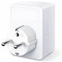 TP-Link Tapo P100 Prise intelligente 2300 W Maison Blanc