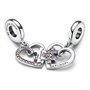 Pendentif Femme Pandora 792239C01