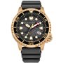 Montre Homme Citizen BN0163-00H