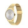 Montre Femme Calvin Klein 25300003