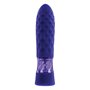 Mini Vibromasseur Evolved Raver Violet