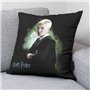 Housse de coussin Harry Potter Draco Noir 50 x 50 cm