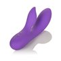 Vibrateur G-Spot California Exotic Novelties Violet