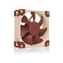 Noctua NF-A8 Boitier PC Ventilateur 8 cm Beige