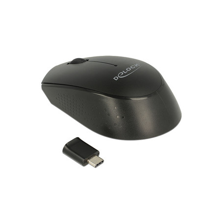 DeLOCK 12526 souris Ambidextre RF sans fil Optique 1000 DPI