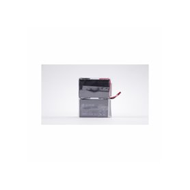 Eaton EB010SP Batterie de l'onduleur Sealed Lead Acid (VRLA) 6 V 9 Ah
