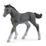 schleich HORSE CLUB Poulain Trakehnen