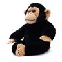 Simba - National Geographic Hug Chimpanzee