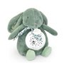 Veilleuse musicale Lapin vert