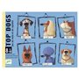 Jeu de cartes en boite Top Dogs