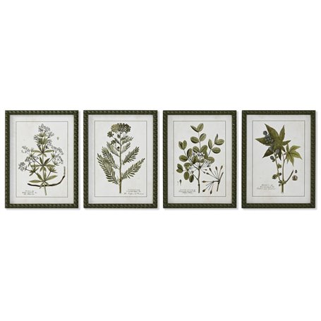 Cadre Home ESPRIT Vert Beige Shabby Chic Plantes botaniques 30 x 2
