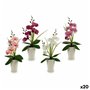 Fleur décorative Orchidée Plastique 14 x 35 x 8 cm (12 Unités)