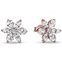 Boucles d´oreilles Femme Pandora 282407C01 Argent 925