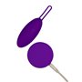 Vibromasseur à boules Blush Wellness Violet