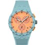 Montre Homme Swatch SUSL401
