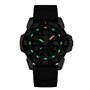 Montre Unisexe Luminox XS.3251.CB (Ø 45 mm)