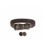 Collier pour Chien Trixie Active Comfort Noir 47-54 cm