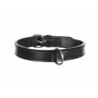 Collier pour Chien Trixie Active Noir 31-37 cm