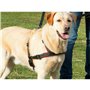 Harnais pour Chien Trixie Noir S/M