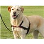 Harnais pour Chien Trixie Noir S/M