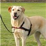 Harnais pour Chien Trixie Noir S/M