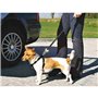Harnais pour Chien Trixie Noir XS Voiture