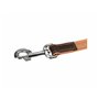 Laisse réglable pour chien Trixie Marron Marron Clair S/M 2 m