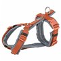 Harnais pour Chien Trixie Premium Trekking Orange Graphite XS/S