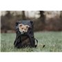 Sac à dos pour animaux de compagnie Hunter Noir