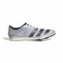 Chaussures de Running pour Adultes Adidas Distancestar Noir Gris