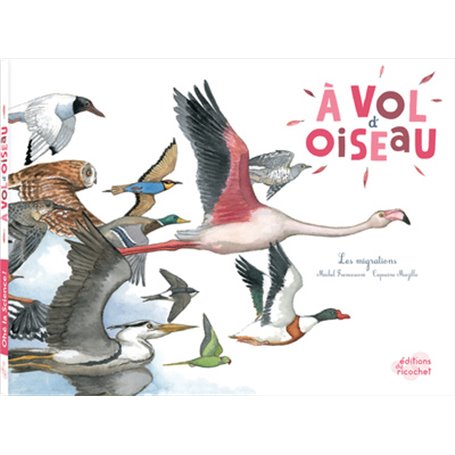 À vol d'oiseau