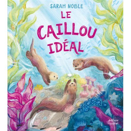 Le Caillou idéal