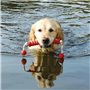 Jouet pour chien Trixie 42 cm
