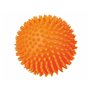Jouet pour chien Trixie Ø 10 cm