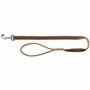 Laisse pour Chien Trixie Marron Marron Clair 1 m M/L