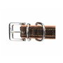 Collier pour Chien Trixie Marron Marron Clair XS/S