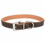 Collier pour Chien Trixie Marron Marron Clair L/XL