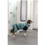 Peignoir pour chien Trixie Bleu XS