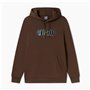 Sweat à capuche homme Puma Essentials+ Graphic Hoodie Fl Hombre