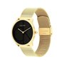 Montre Femme Calvin Klein 25300016